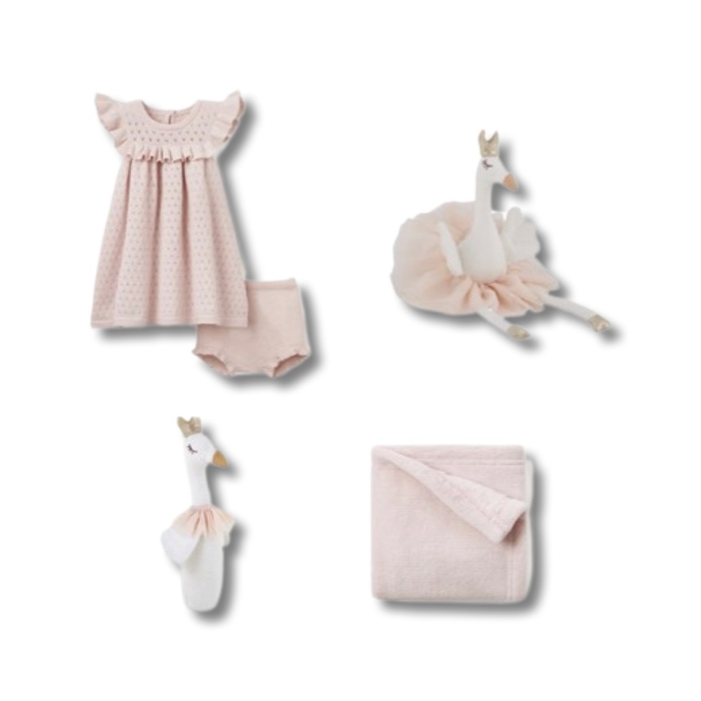 Swan Gift Set BNWT Size 12M